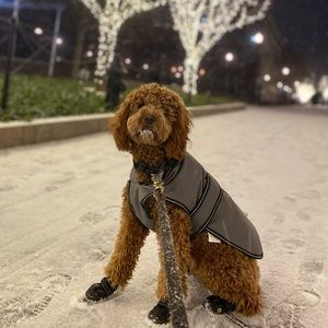 Gray insulated dog jacket waterproof reflective